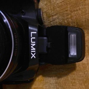 LUMIX DC VARIO 60X Optical Zoom